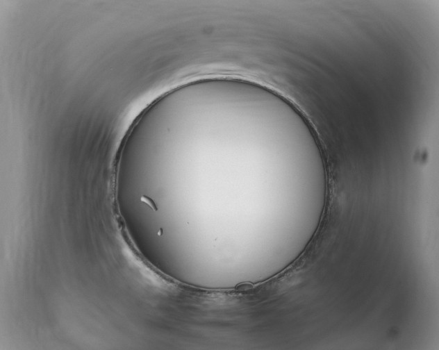 X0000111391527200907241321