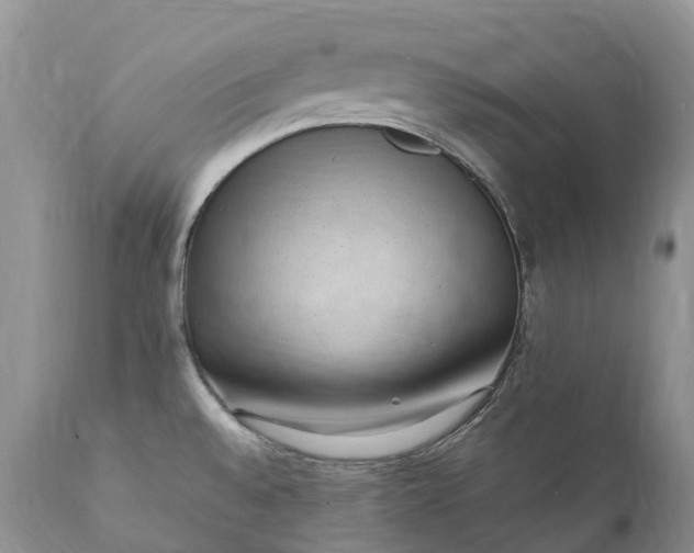 X0000111391528200907241321