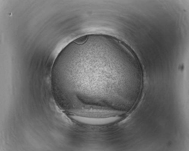 X0000111391529200907241321