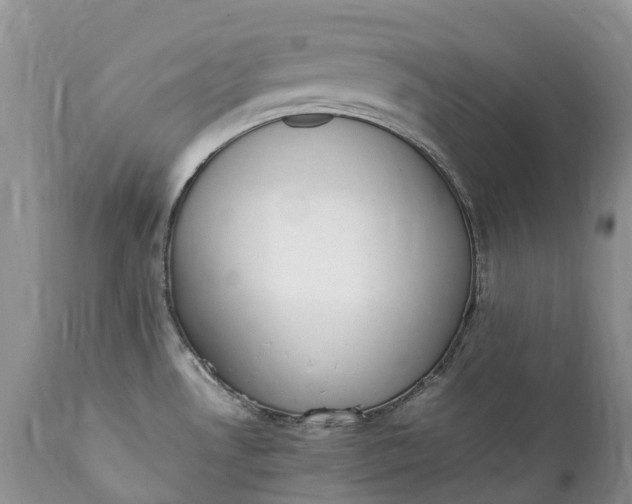 X0000111391530200907241321