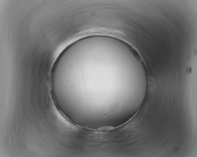 X0000111391531200907241321