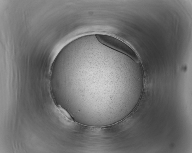 X0000111391532200907241321