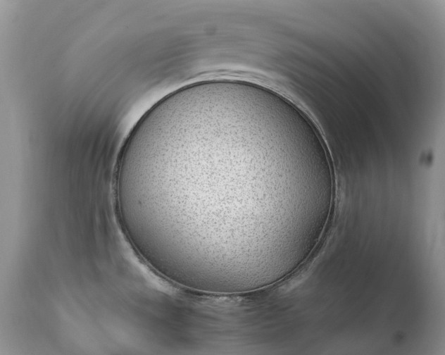 X0000111391533200907241321