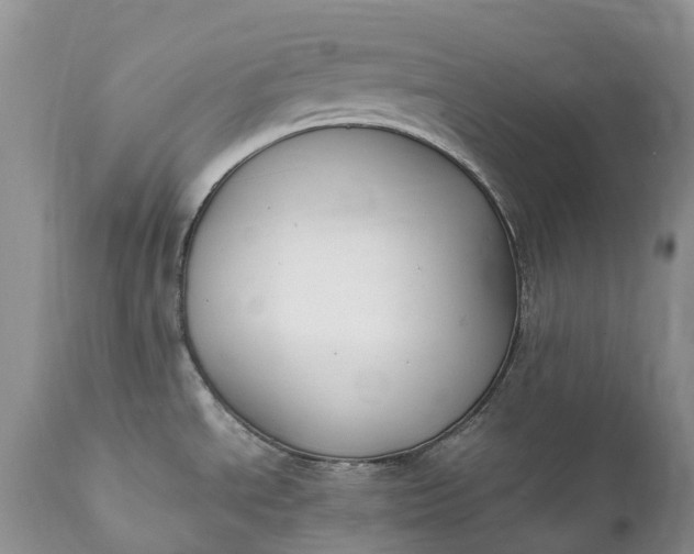 X0000111391534200907241321