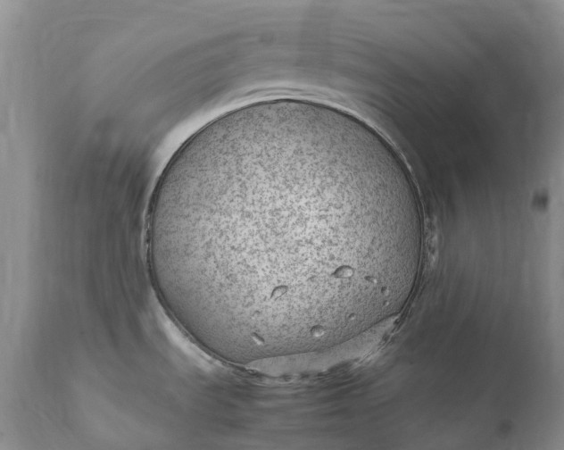 X0000111391535200907241321