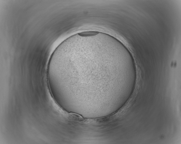 X0000111391536200907241321