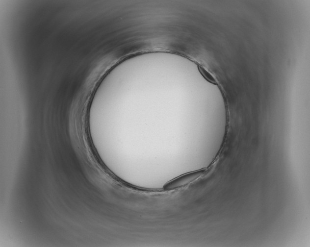 X0000111390001200907311123