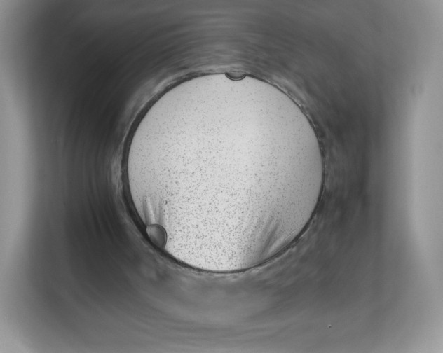 X0000111390002200907311123