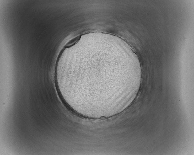 X0000111390003200907311123