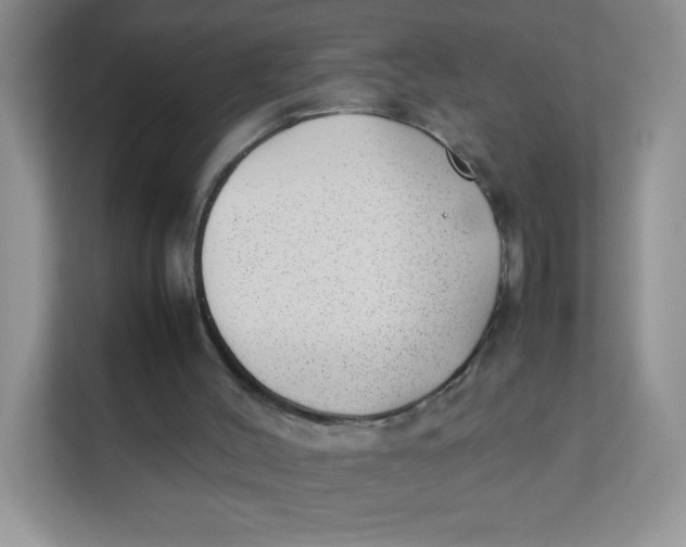 X0000111390004200907311123