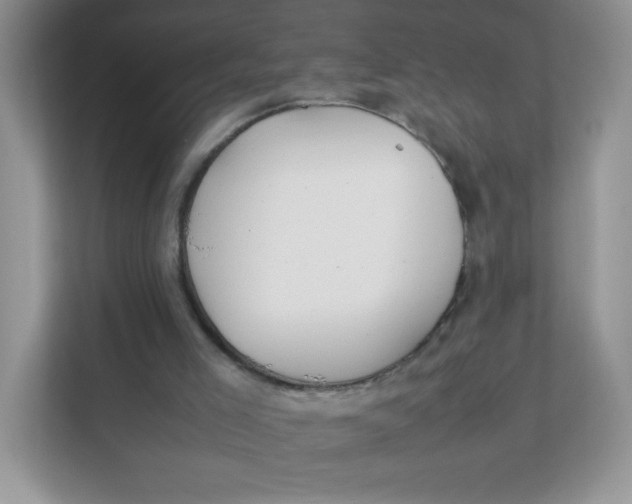 X0000111390005200907311123