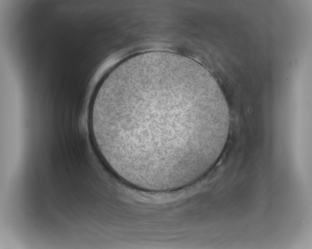 X0000111390006200907311123