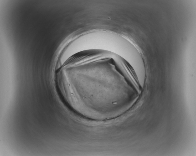 X0000111390007200907311123