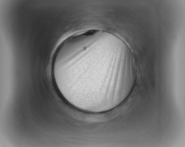 X0000111390008200907311123