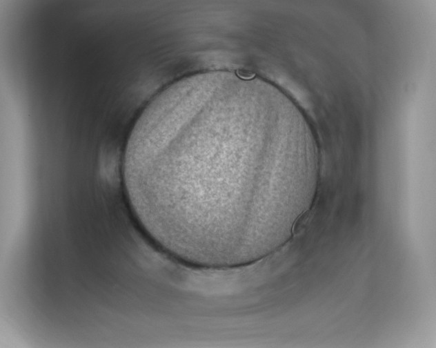 X0000111390009200907311123