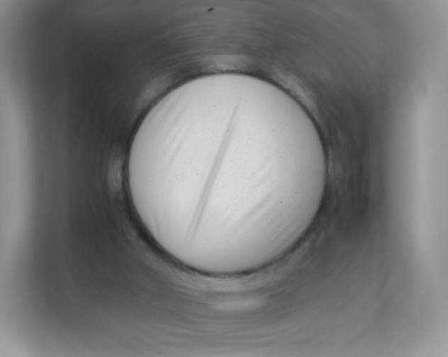 X0000111390010200907311123