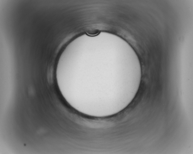 X0000111390012200907311123