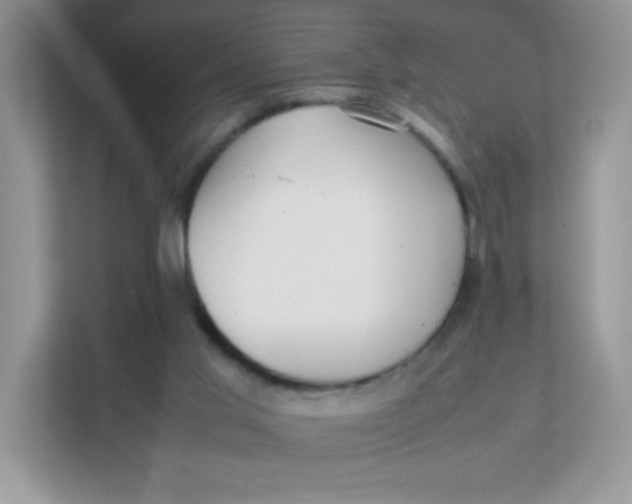 X0000111390013200907311123