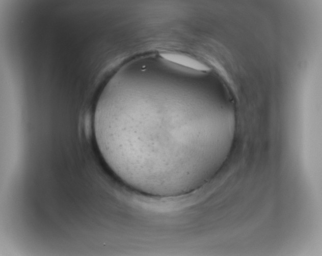 X0000111390019200907311123