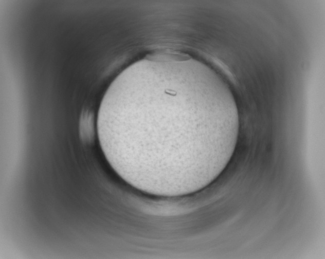 X0000111390020200907311123