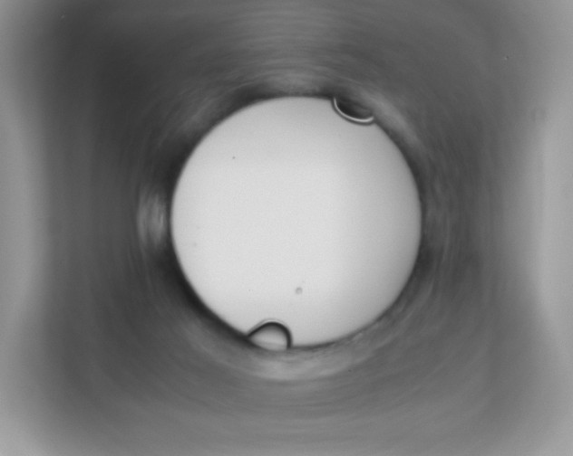 X0000111390021200907311123