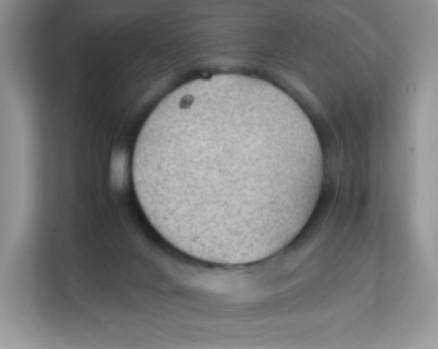 X0000111390024200907311123