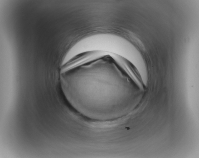 X0000111390025200907311123