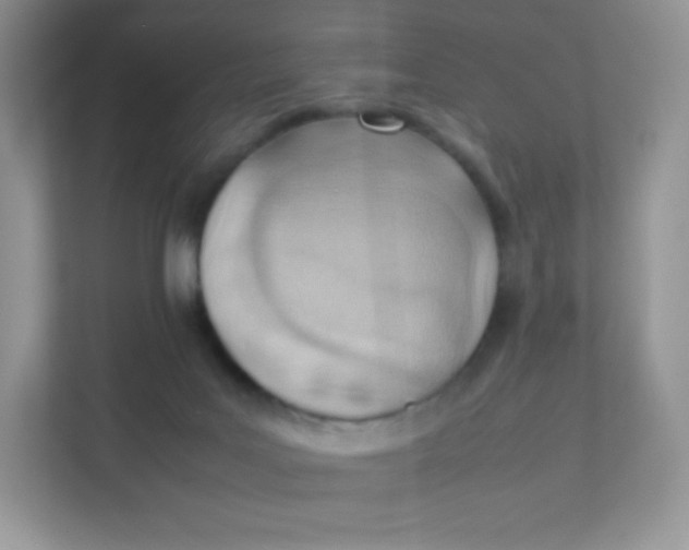 X0000111390027200907311123