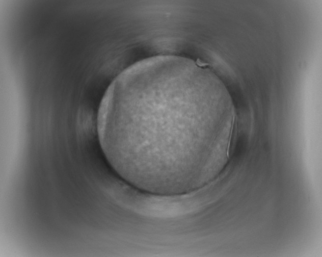 X0000111390029200907311123