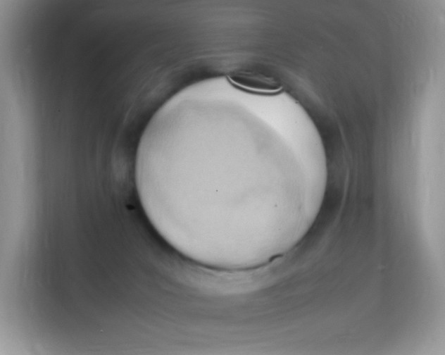 X0000111390031200907311123