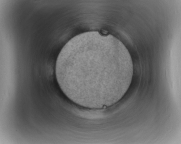 X0000111390032200907311123