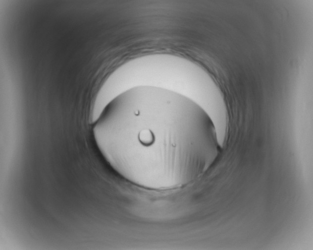 X0000111390035200907311123