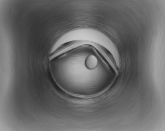 X0000111390036200907311123