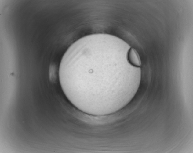 X0000111390038200907311123