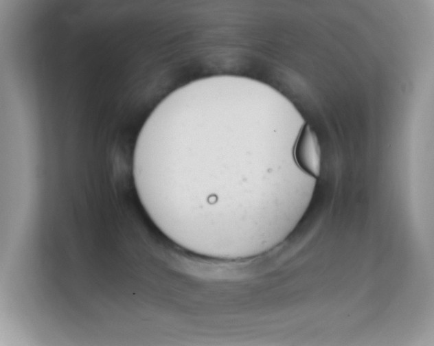 X0000111390040200907311123