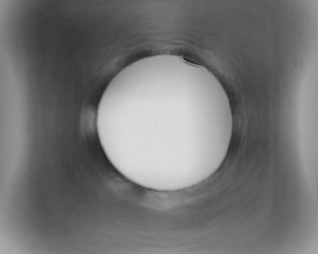 X0000111390041200907311123