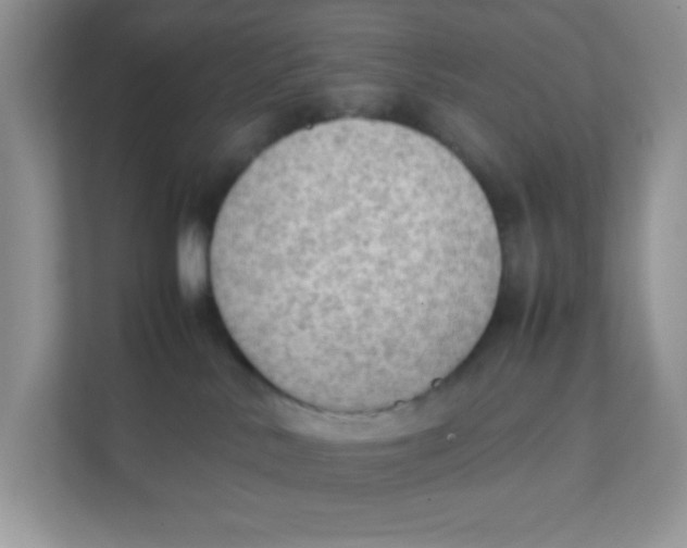 X0000111390042200907311122