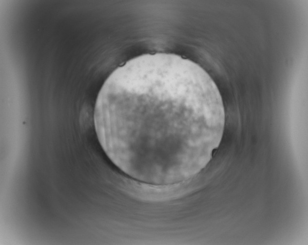 X0000111390043200907311122