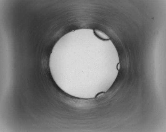 X0000111390044200907311122