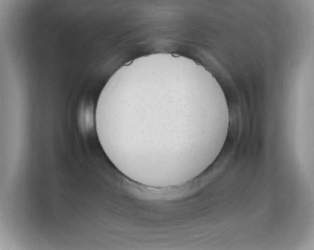 X0000111390046200907311122