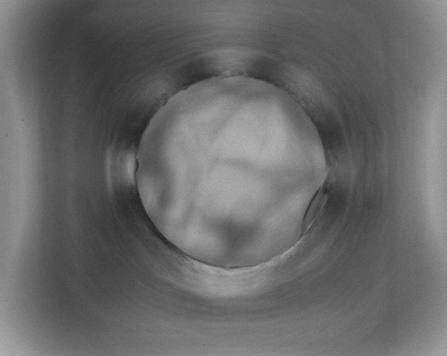 X0000111390047200907311122