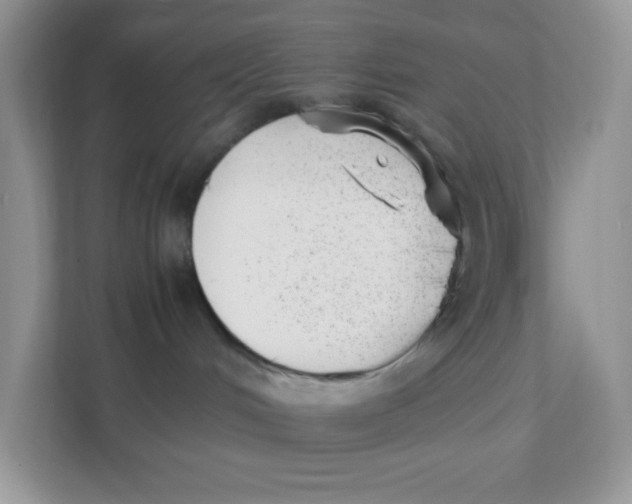 X0000111390048200907311122