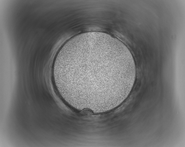 X0000111390049200907311122