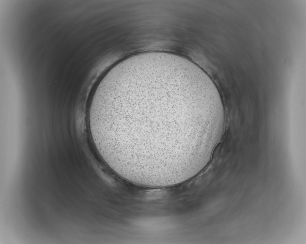 X0000111390050200907311122