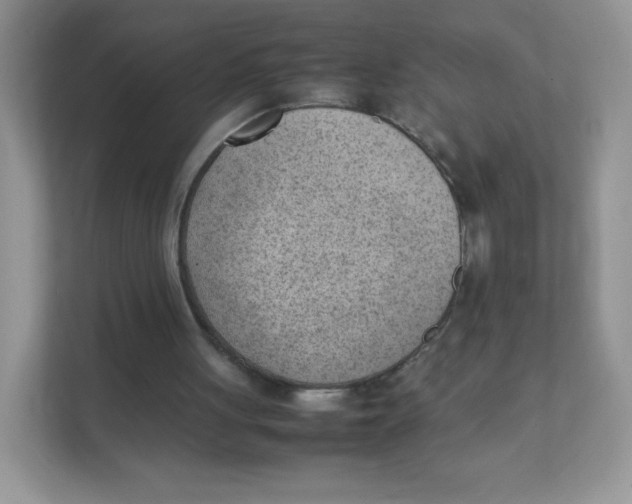 X0000111390051200907311122