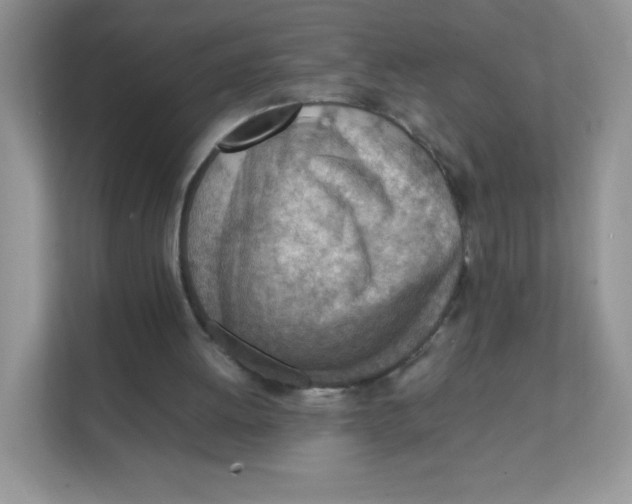 X0000111390052200907311122