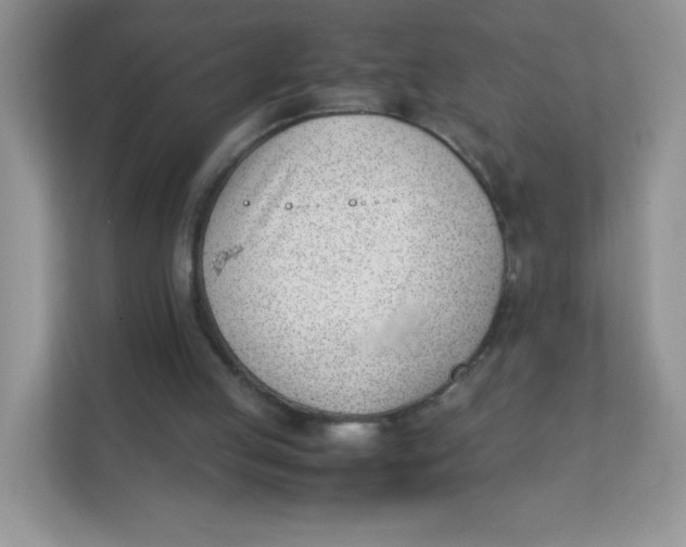 X0000111390053200907311122