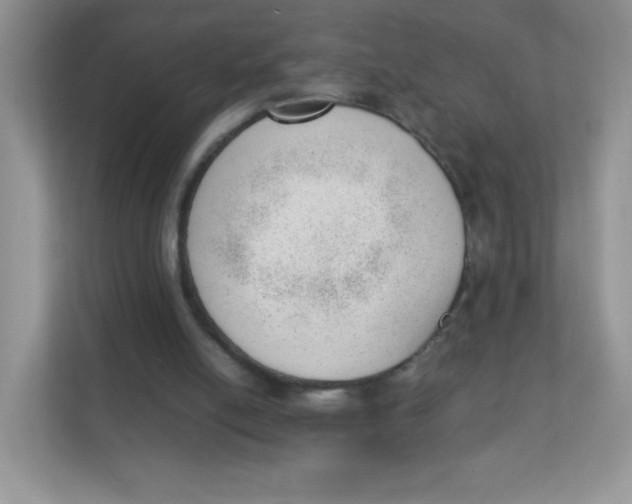 X0000111390054200907311122