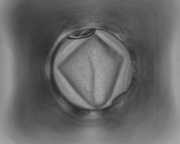 X0000111390056200907311122