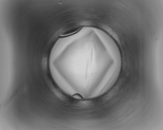 X0000111390057200907311122